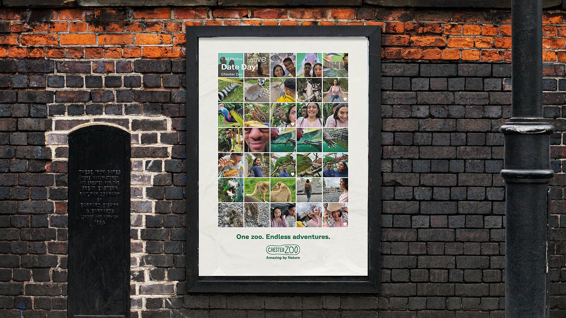Chester Zoo Campaign 1