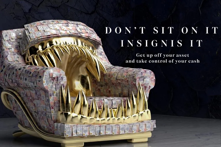 Insignis 'Get up off your asset'