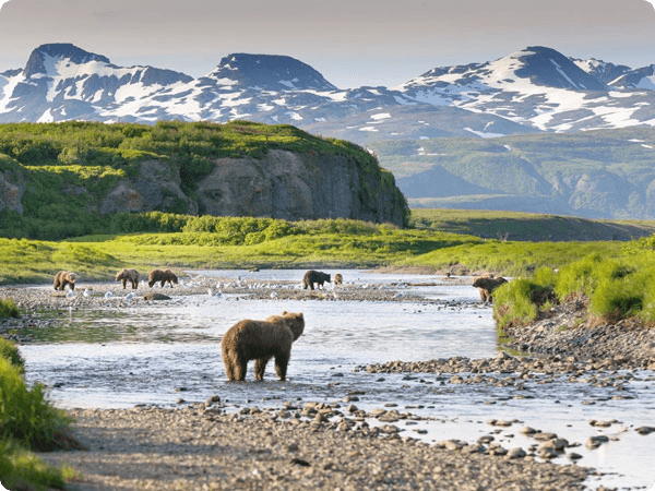 Katmai National Park